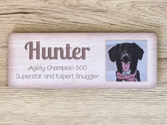 Dog or Pet Name Signs: Personalised Metal Kennel or Basket Plaques