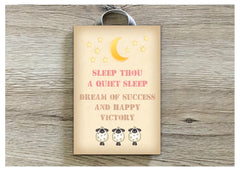 Shh Sleeping! Do Not Disturb Rustic Sheep Sign