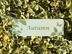 Add Your Own Text to our Vintage Rustic Roses & Green Leaves Sign